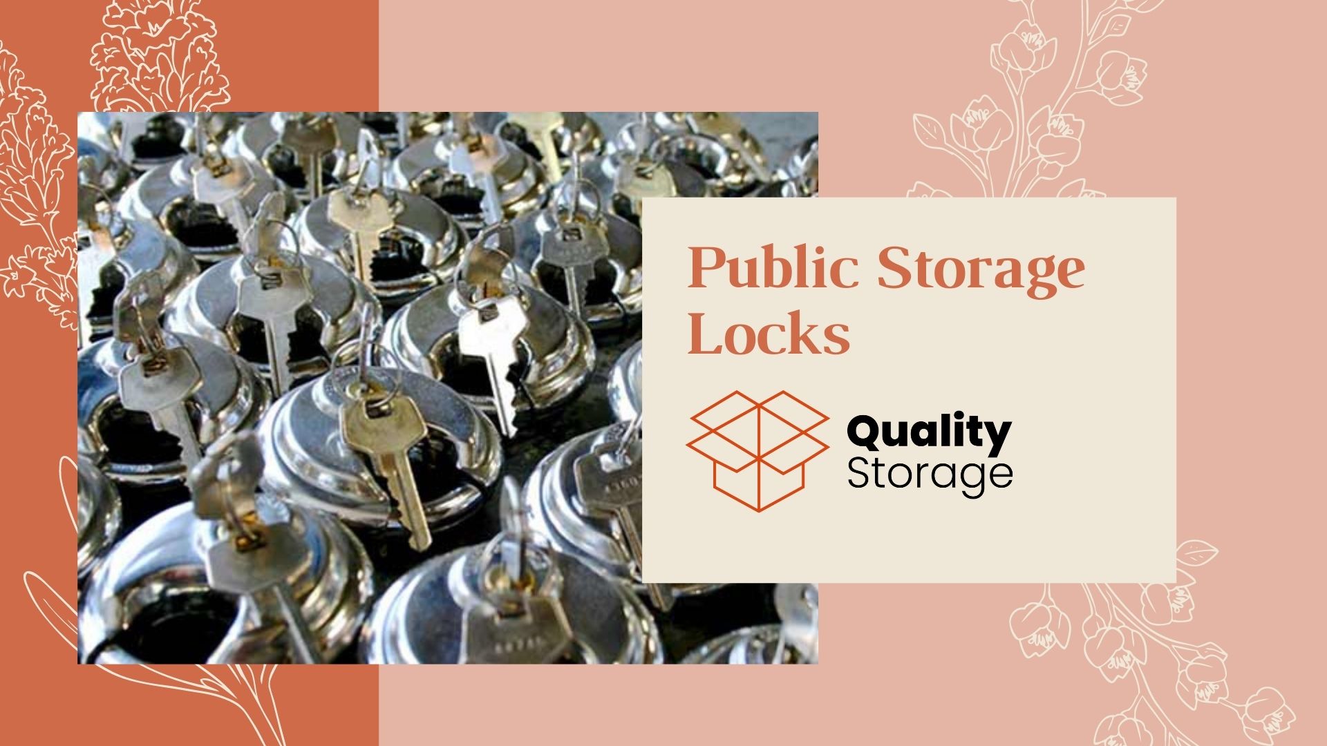 Public Storage Locks